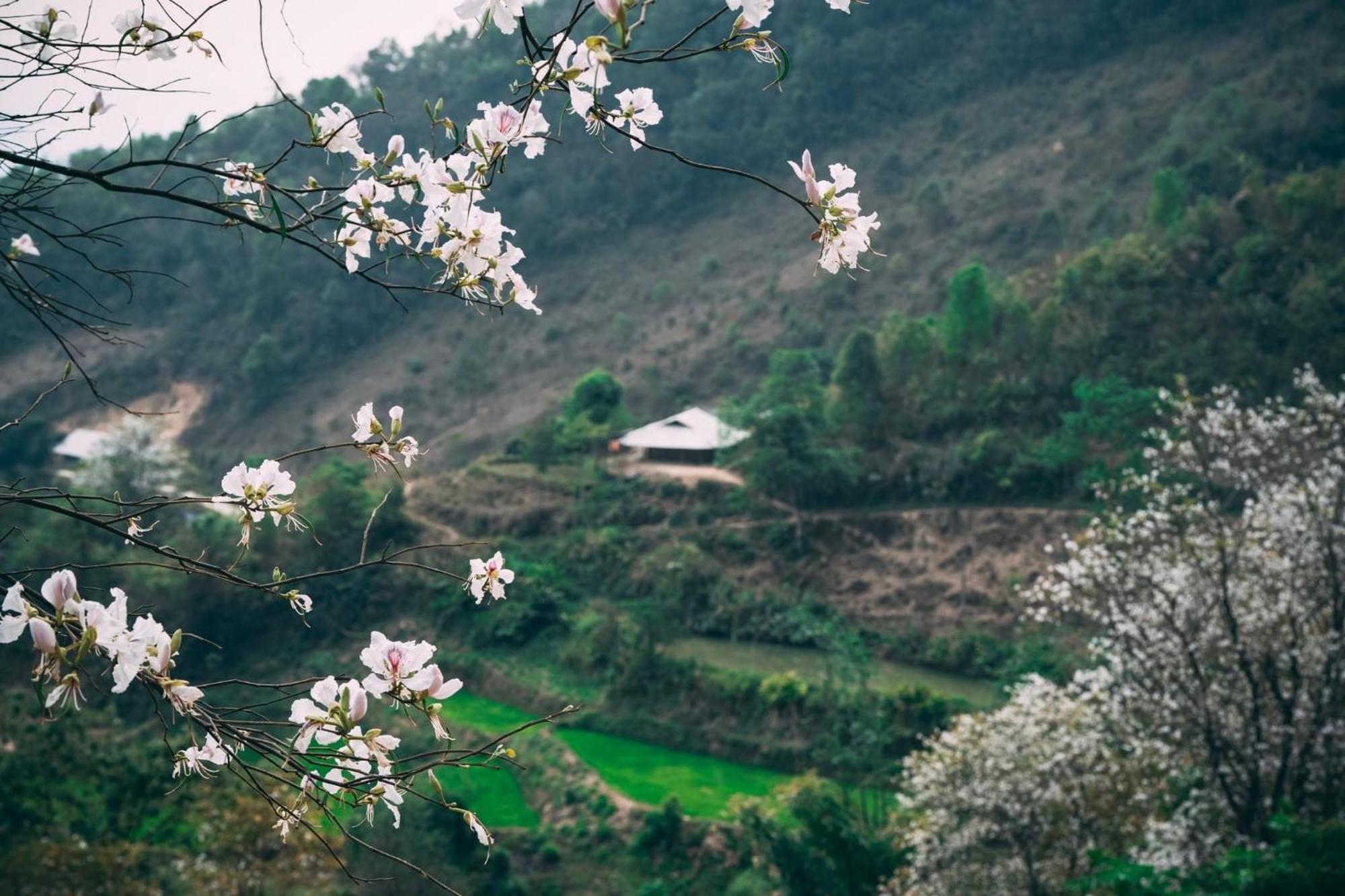 Minh Ngoc Homestay Dien Bien Phu Ban Him Lom Екстер'єр фото